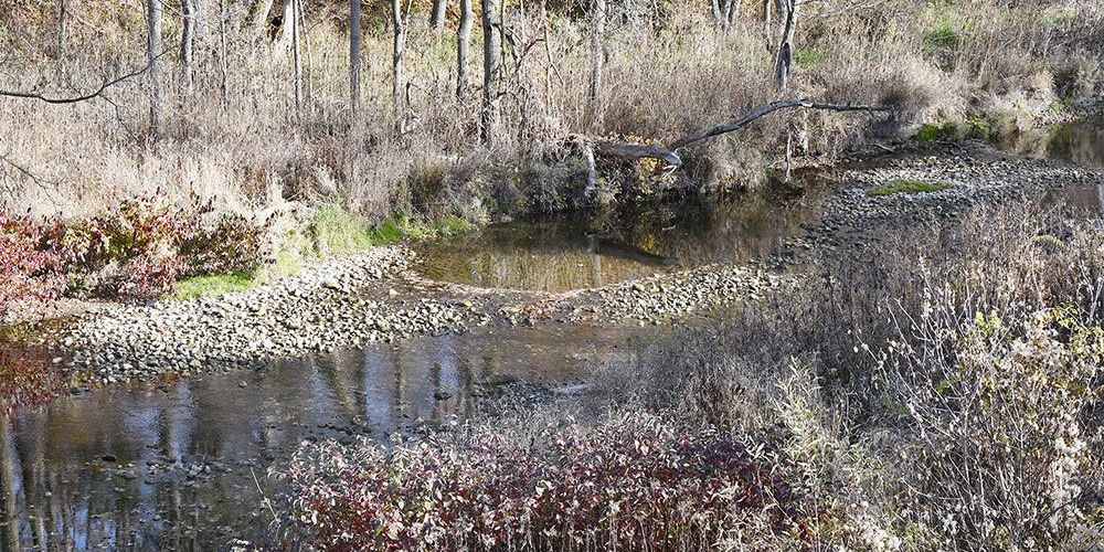 A photo of low water in the Bayfield River earlier in 2024.