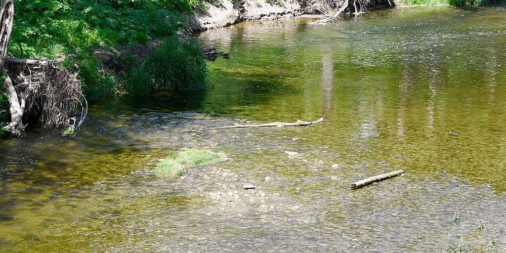 A file photo from summer 2026 of lower water levels in streams.