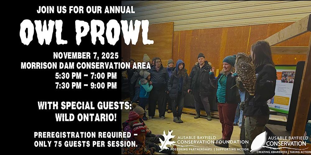 A poster for November 7, 2025 Owl Prowls.