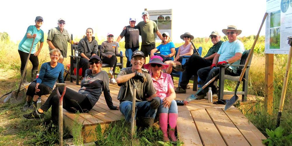 A photo of volunteers helping to restore wetland.
