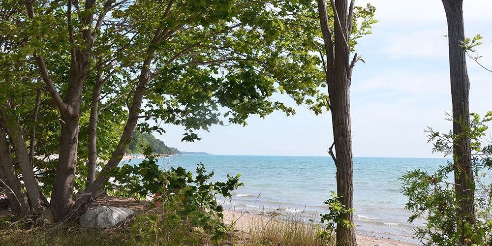 A shoreline file photo showing water and trees and rock.