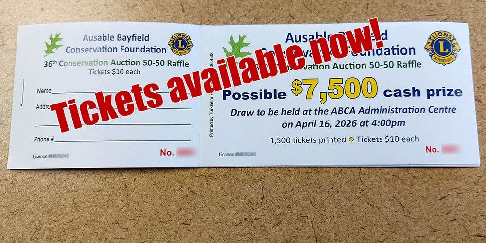 A photo of a 50-50 ticket with the words 'Tickets available now'