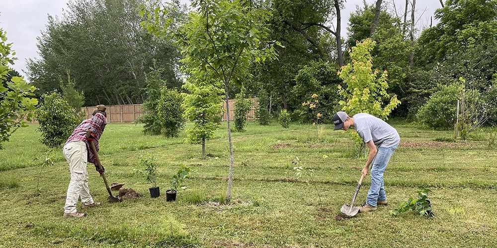 A file photo of tree planters.