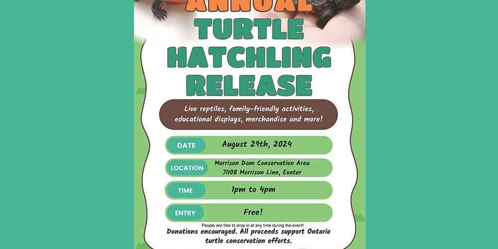 A poster for August 29, 2024 turtle hatchling release event.