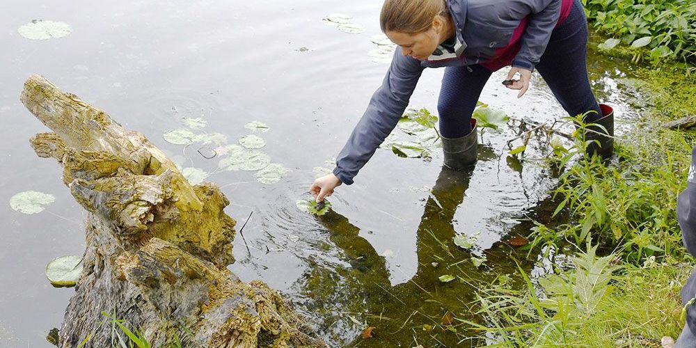 Cristen Watt returns turtle hatchling to the wild.