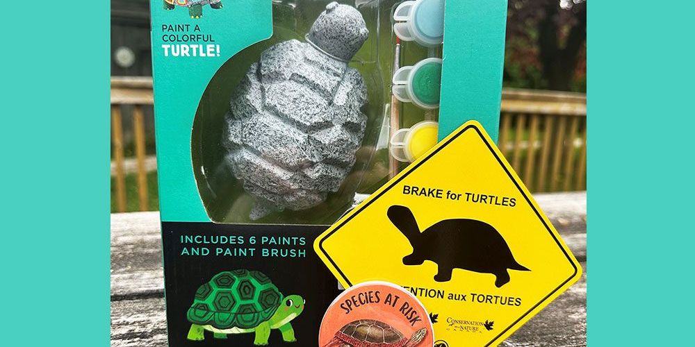 A photo of some of the prizes in the World Turtle Day quiz.