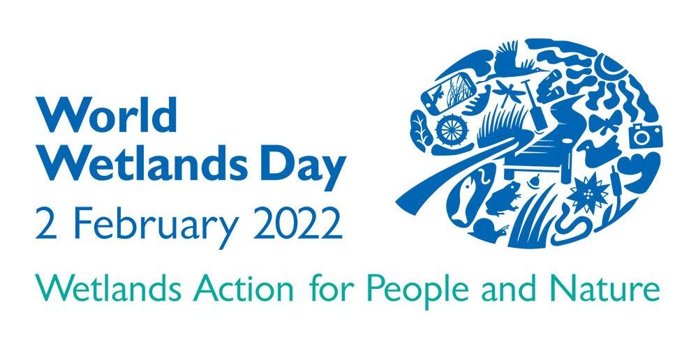 World Wetlands Day approaches - Consider positive local actions you can take.