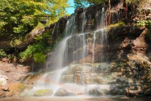 Find out about Rock Glen Conservation Area.